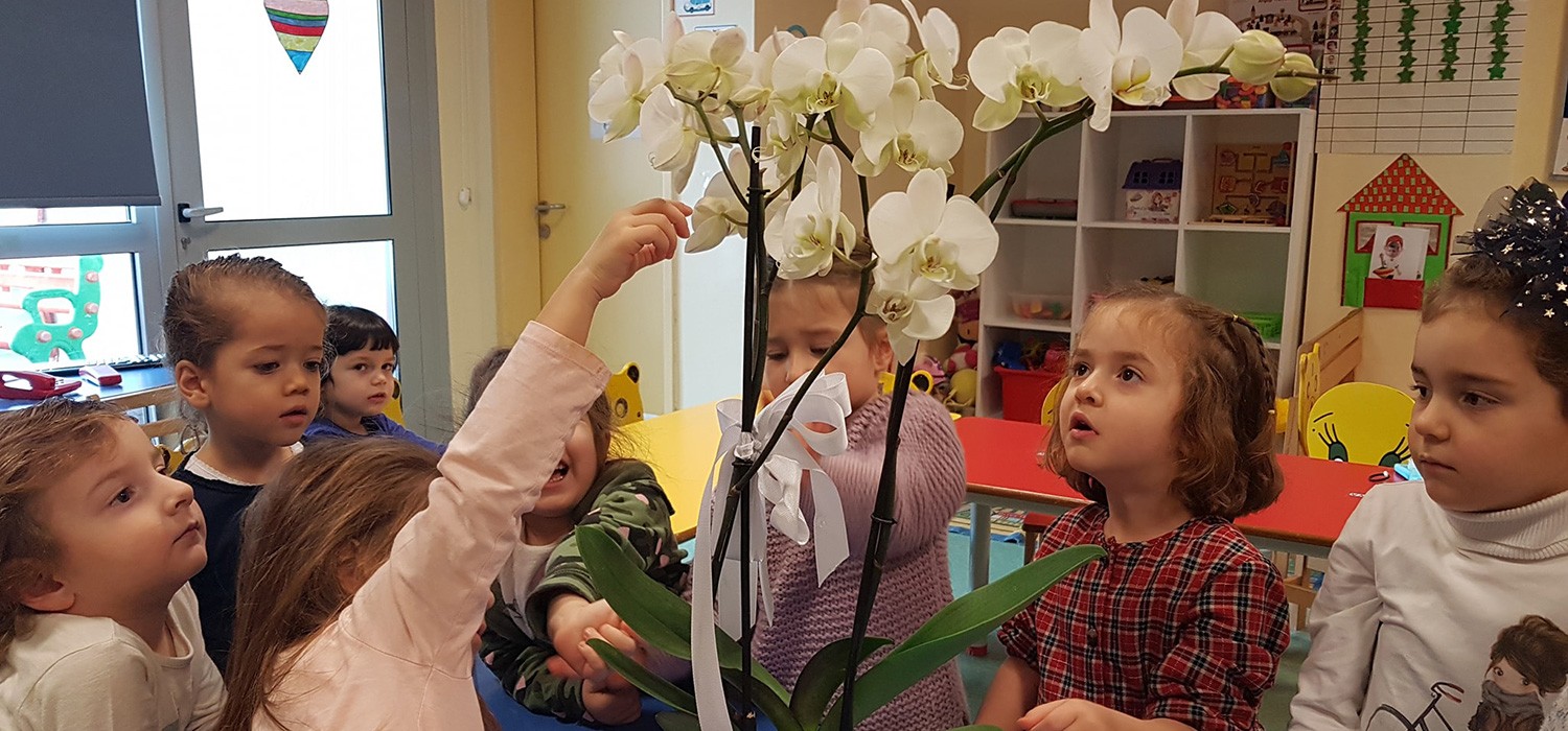 Anaokulundan Orkideleri Kurtaracak Proje-img
