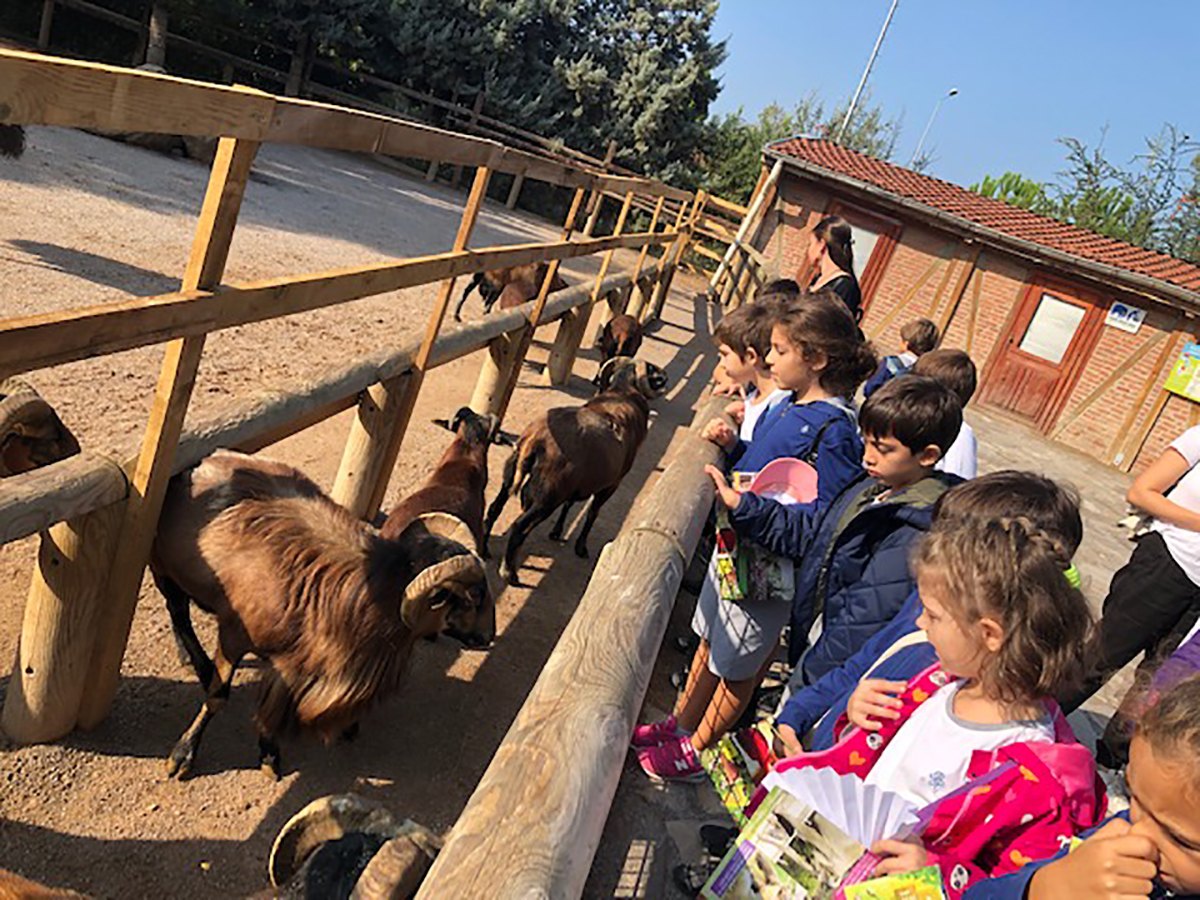 2. Sınıflar Doğal Yaşam Parkı’nda-img