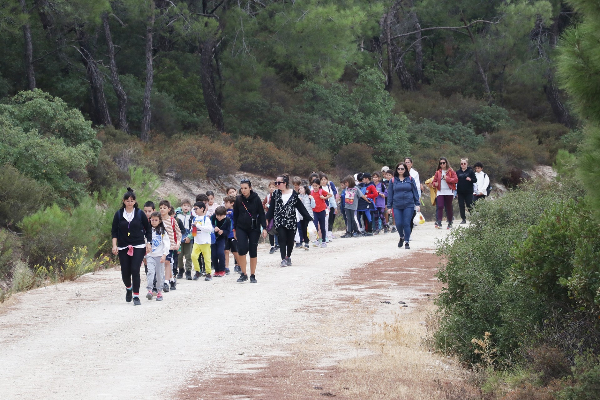 Piri Reisliler Yeniden Doğada-img