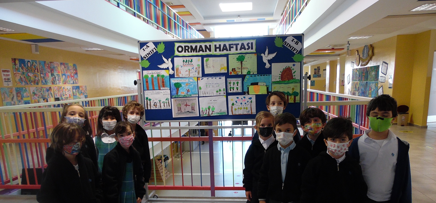 Ormanların Önemini Kavradılar-img