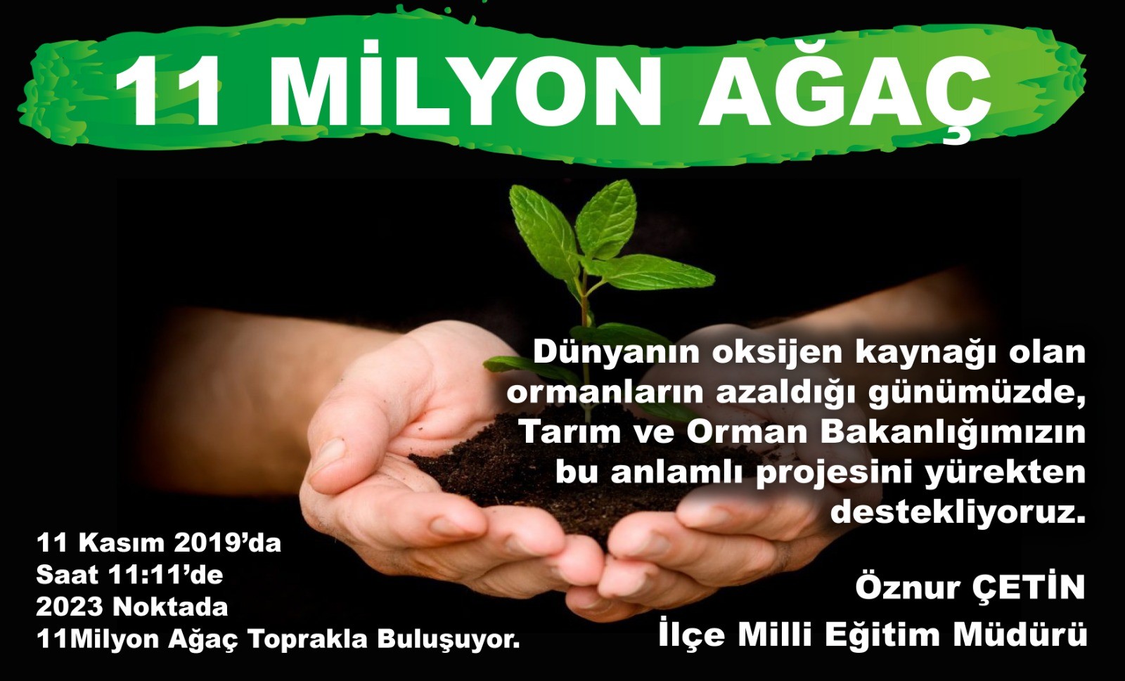 11 Milyon Ağaç-img