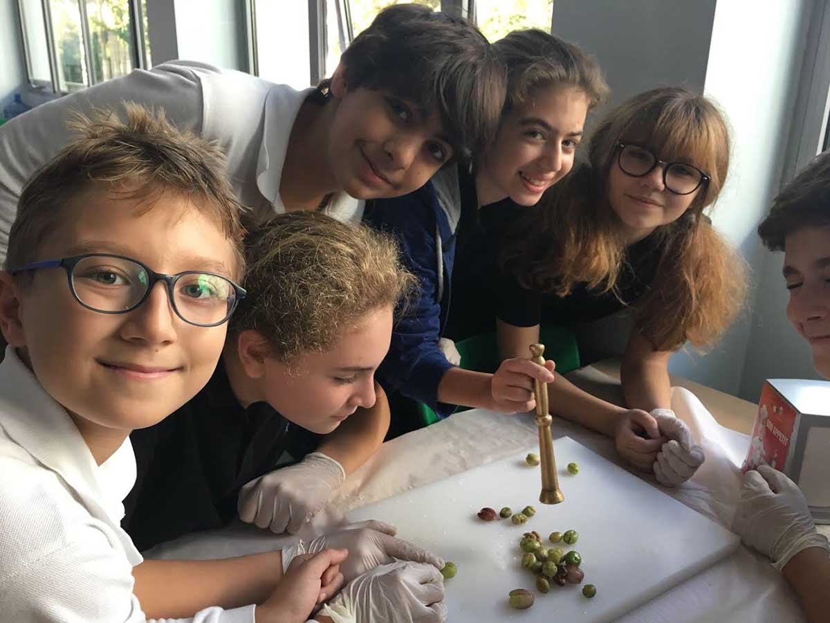 Eko Tim’den Organik Zeytin-img